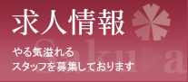 求人情報 やる気あふれるスタッフを募集しております。