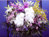 洋花 25,000円(税別)