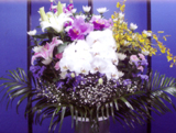 菊 27,000円(税込み)