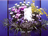 菊 24,000円(税別)